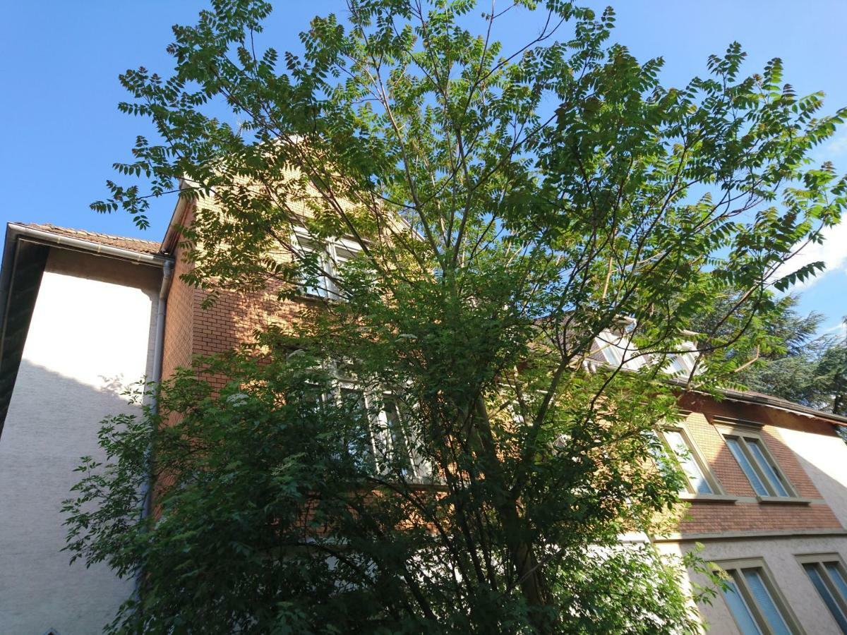 Nest City - Not a Hotel, private room MIT GEMEINSCHAFTSDUSCHE und -WC, KEIN PARKPLATZ, KEIN FRÜHSTÜCK, KEINE KÜCHE, Tücher gegen Gebühr, Check-In ab 16 Uhr bis 23 Uhr Konstanz Exterior foto